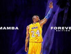 开云官网-终场绝杀与孤独领跑，F1赛场上的冰与火之歌