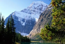 开云体育中国-健美操女子团体夺冠，队员默契配合