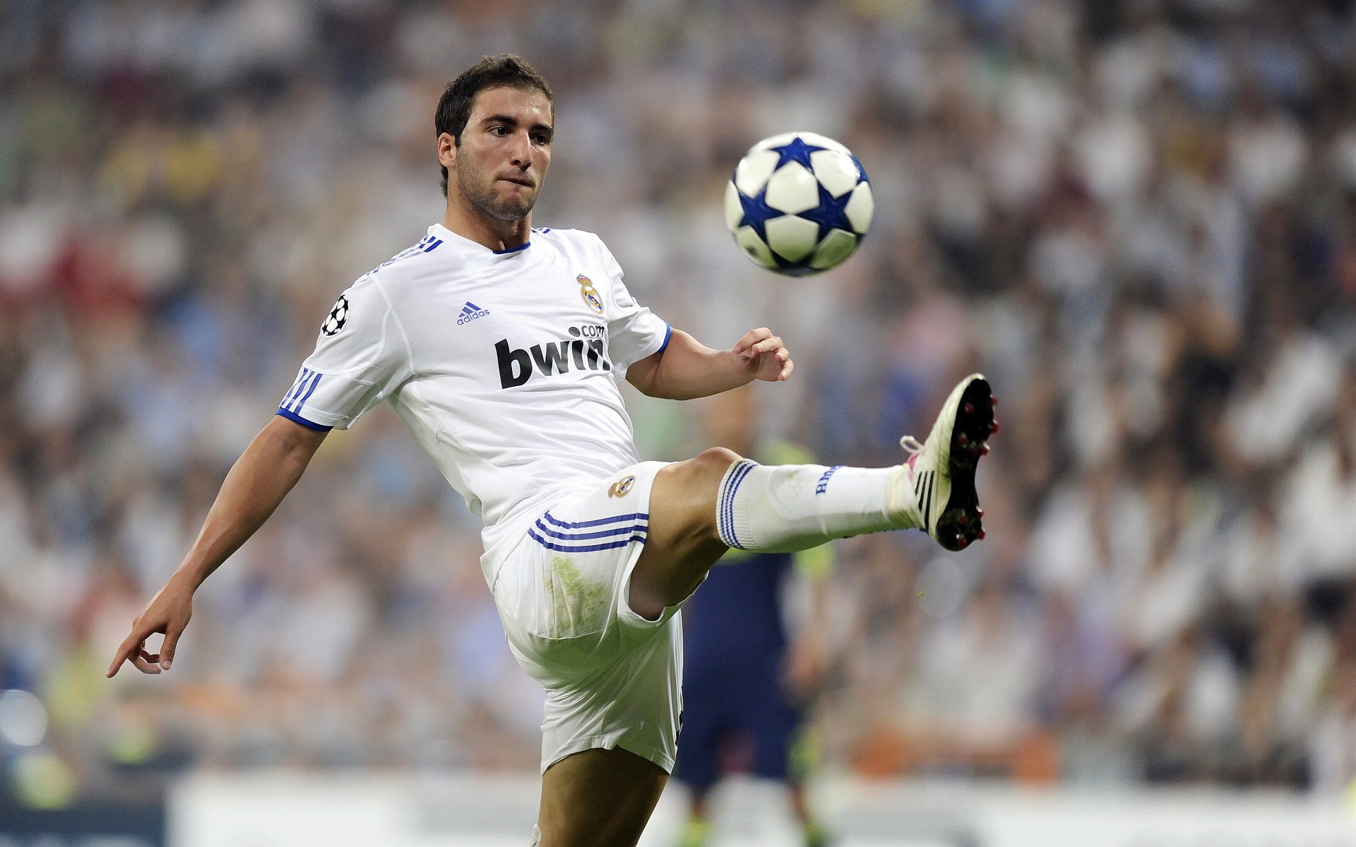 开云体育在线-东方不亮西方亮，雄鹿跨洲奇袭，杰伦·格林意外击碎浙江雄心